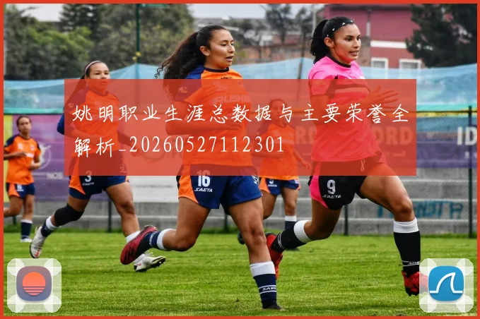 姚明职业生涯总数据与主要荣誉全解析_20260527112301