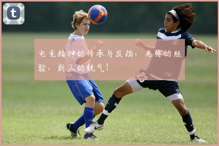 电竞精神的传承与发扬，老将的经验，新人的锐气！